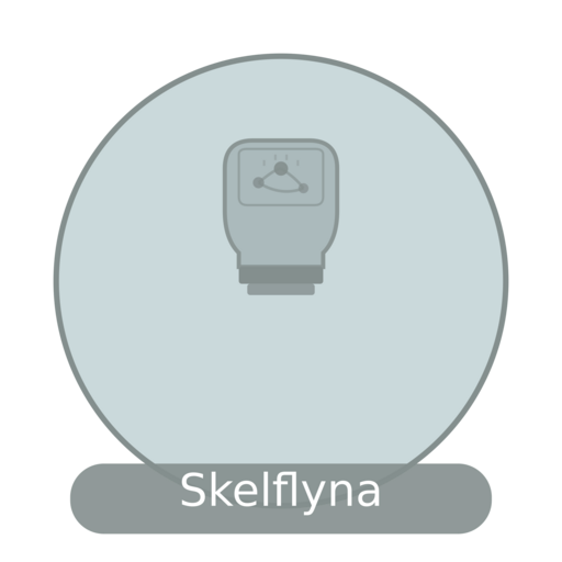 Logo Skelflyna